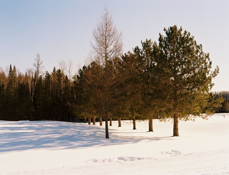 March172008KW02448-R01-002