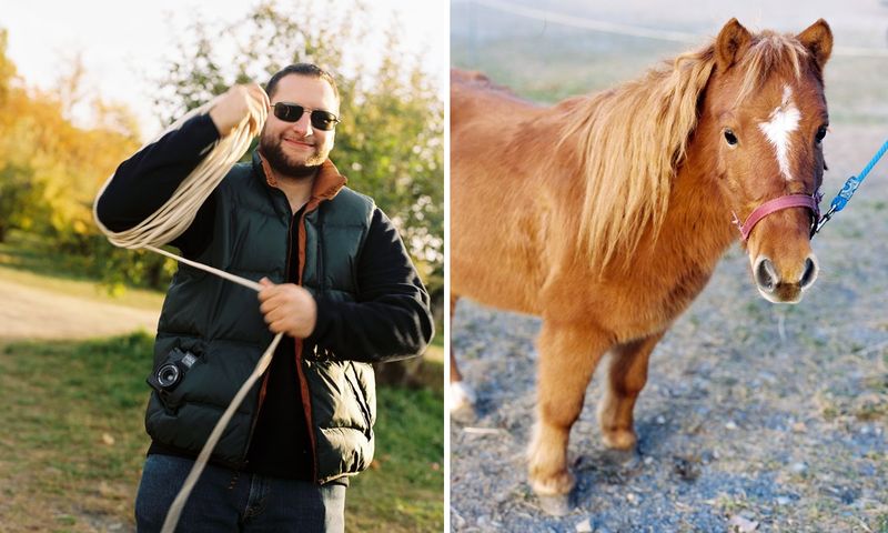 PonyChandlerDiptych2