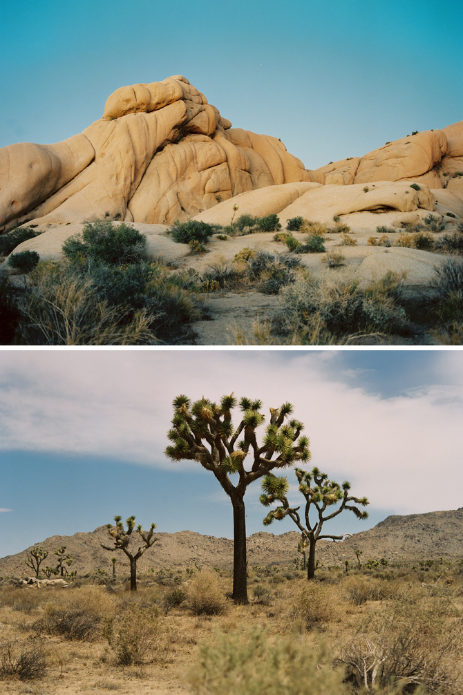 KarenWise-JoshuaTreeDiptych3