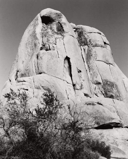 KWiseJoshuaTree-82b01-001