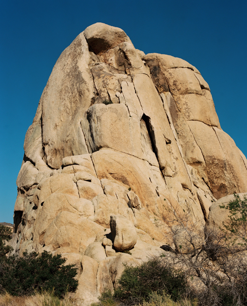 KWiseJoshuaTree42c02-008