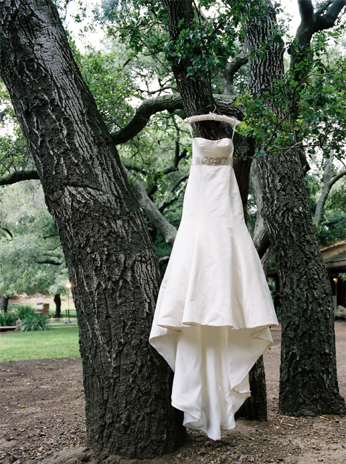 MalibuDressinTree
