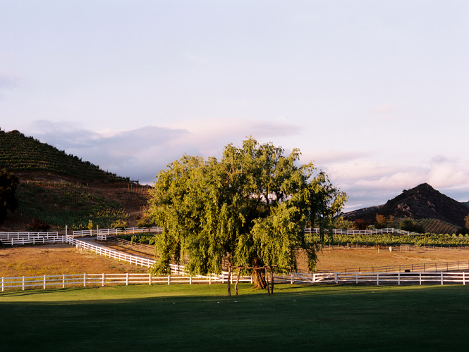 Malibu-Landscapec09-006