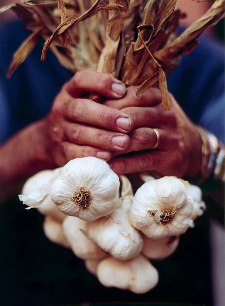 FarmersHandsWGarlicSm