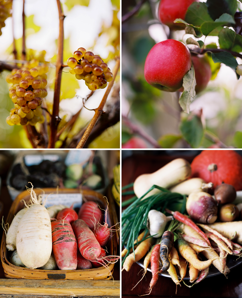 KarenWise_Harvest_Tetraptych