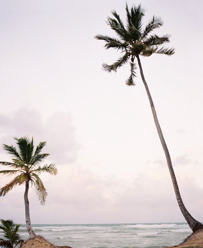 KarenWiseDRPalmsC04-01sm