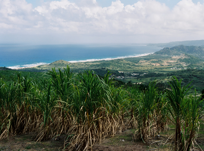 KarenWise_Barbados_10_01