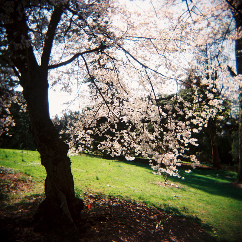 KWise_MorrisArboretum