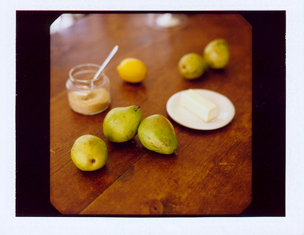 KarenWise_PearsPolaroid KarenWise_PearsPolaroid