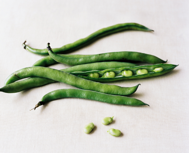 KarenWise_FavaBeans