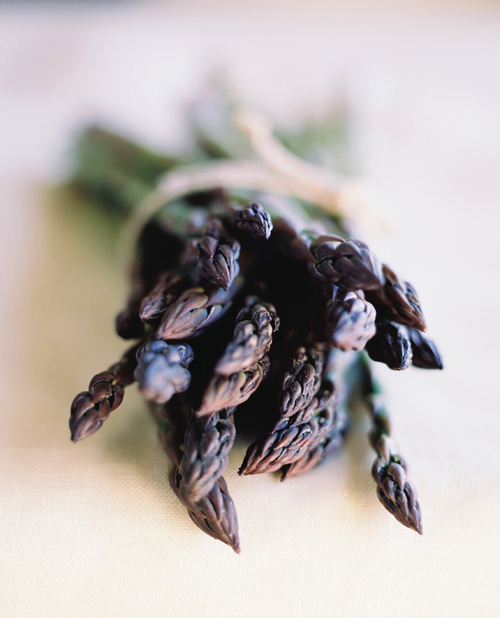 KarenWise_Asparagus