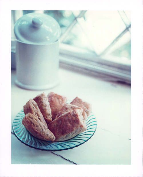 KarenWise_BiscuitsPolaroid KarenWise_BiscuitsPolaroid