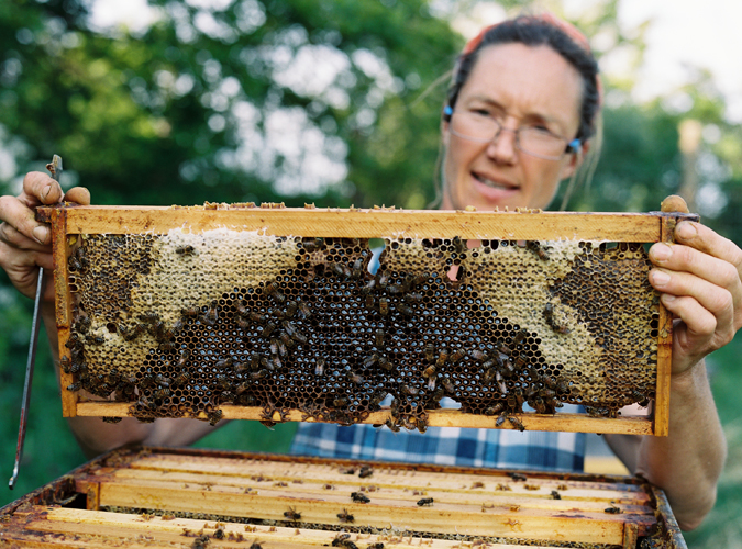 KarenWise_Beekeeper2 KarenWise_Beekeeper2
