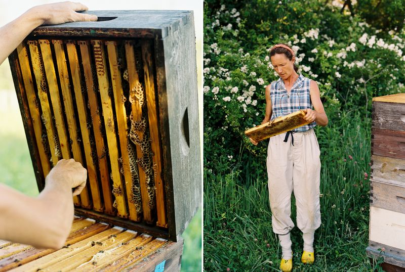 BeekeeperDiptych1 BeekeeperDiptych1