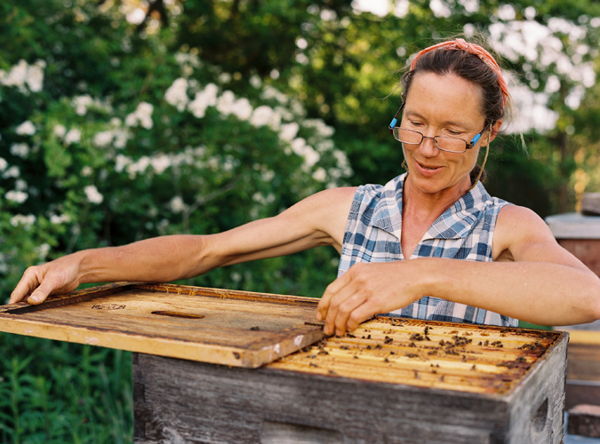KarenWise_Beekeeper1 KarenWise_Beekeeper1