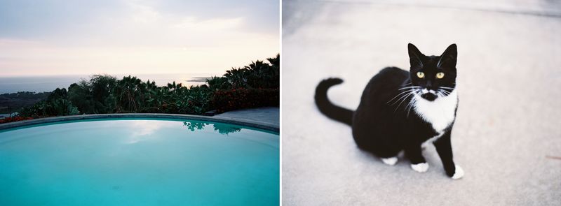 KarenWise_NikkiDiptych3