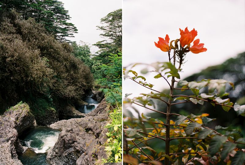 KarenWise_HawaiiDiptych13