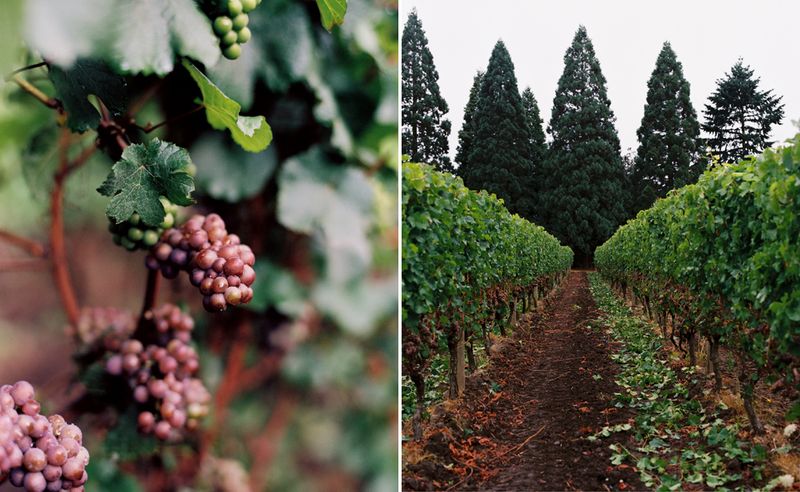 KarenWise_AmyAndyDiptych1