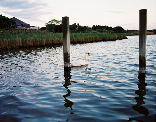 1KarenWise_HamptonsMecoxBay