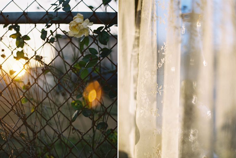 KarenWise_Kentucky_Diptych8