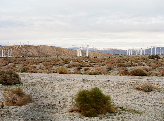 KarenWise_PalmSpringsDesertWind
