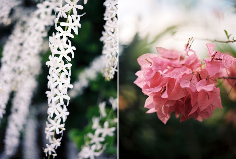 KarenWise_BarbadosDiptych1