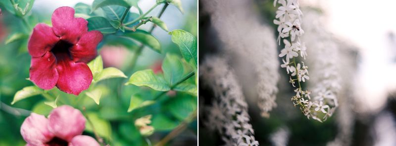 KarenWise_BarbadosDiptych5