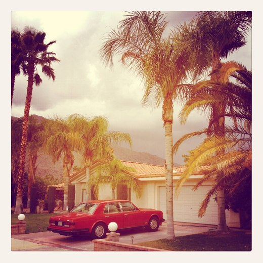 KarenWise_CloudyPalmSprings