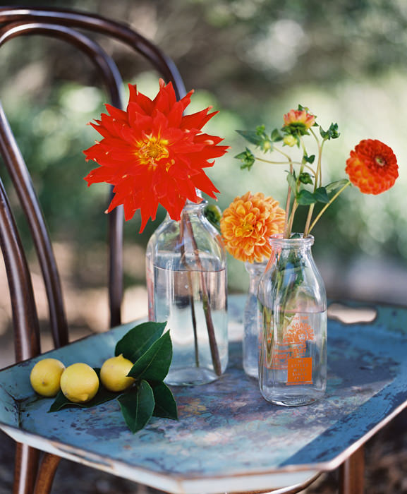 A Santa Barbara Farm to Table Dinner