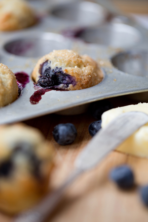 KarenWise_PDR_BlueberryMuffins