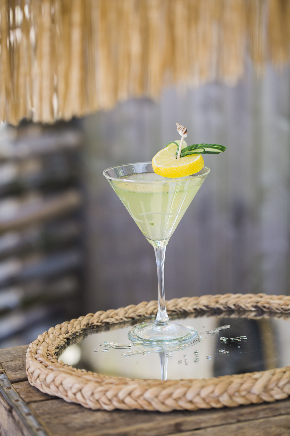 0380-Tiki-WISE5697