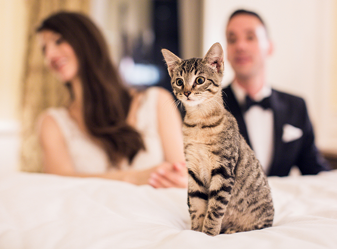 Waldorf Astoria and Harold Pratt House Wedding