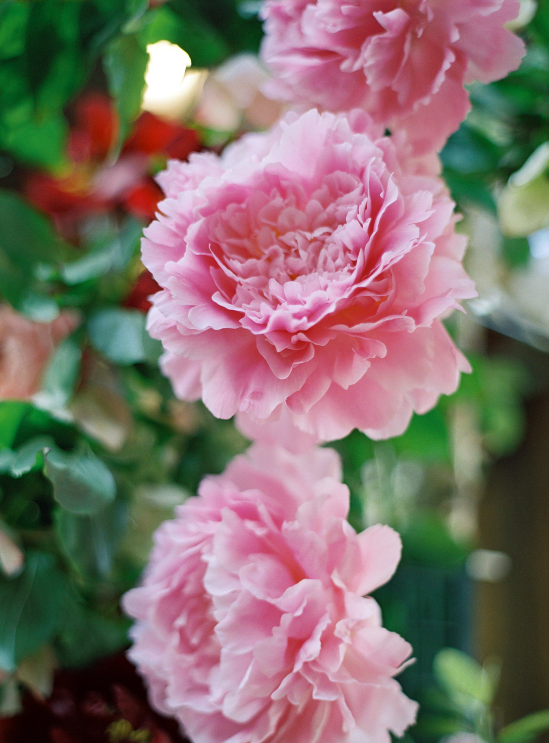 Karen Wise Photography - Brooklyn Wedding