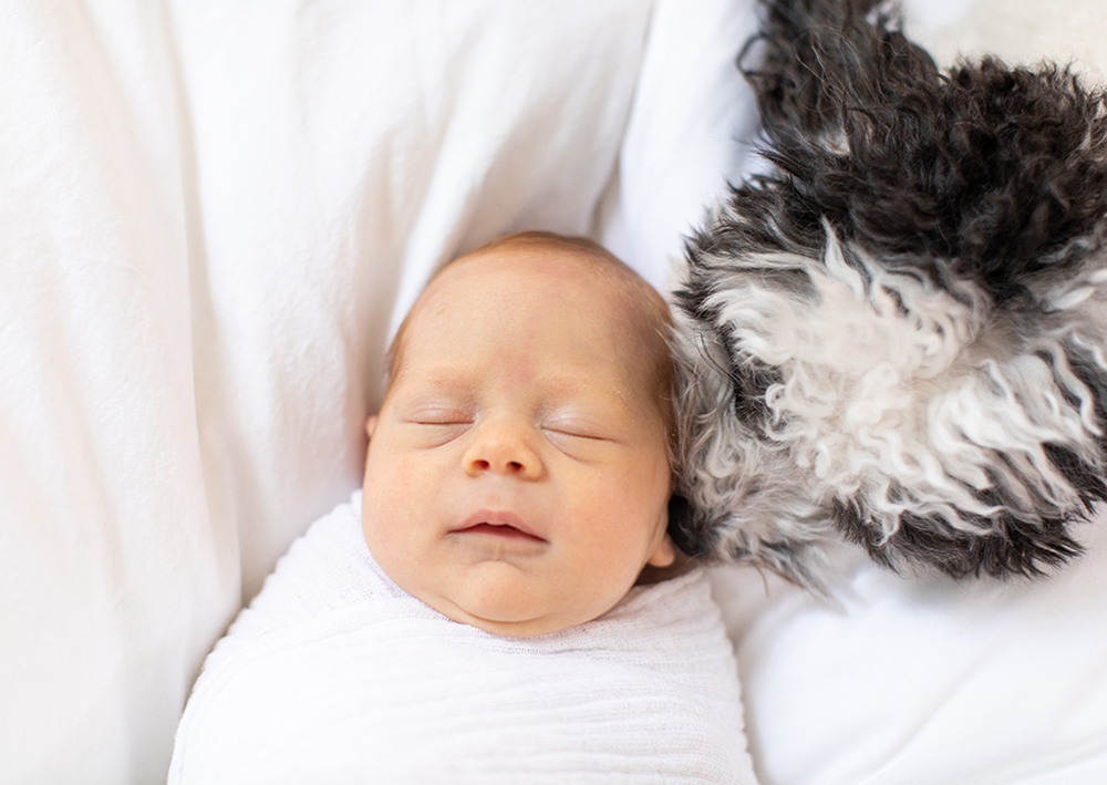 Karen Wise Photography - Park Slope Newborn Photographer