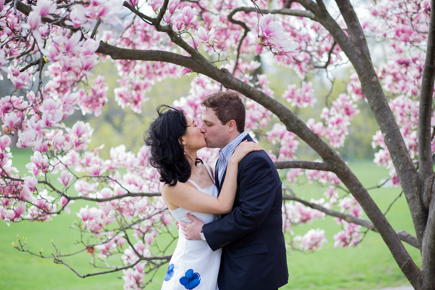 Cherry Blossom Engagement Session