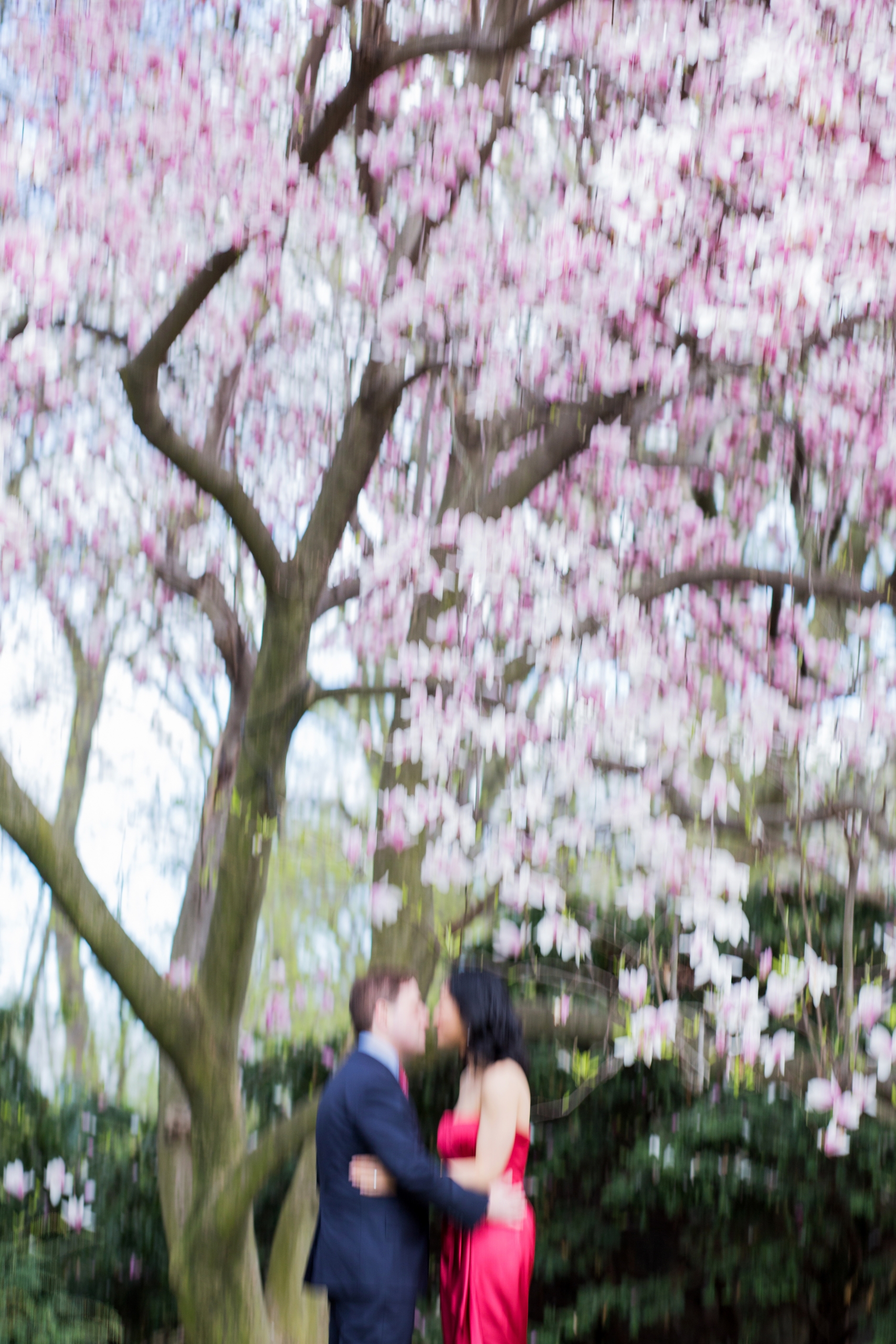 Cherry Blossom Engagement Session