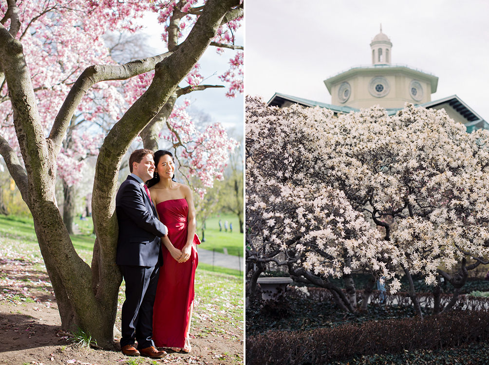 Cherry Blossom Engagement Session
