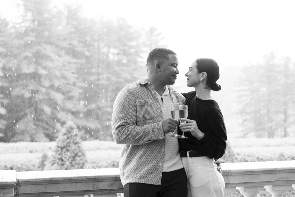 Rainy Proposal at the Mount