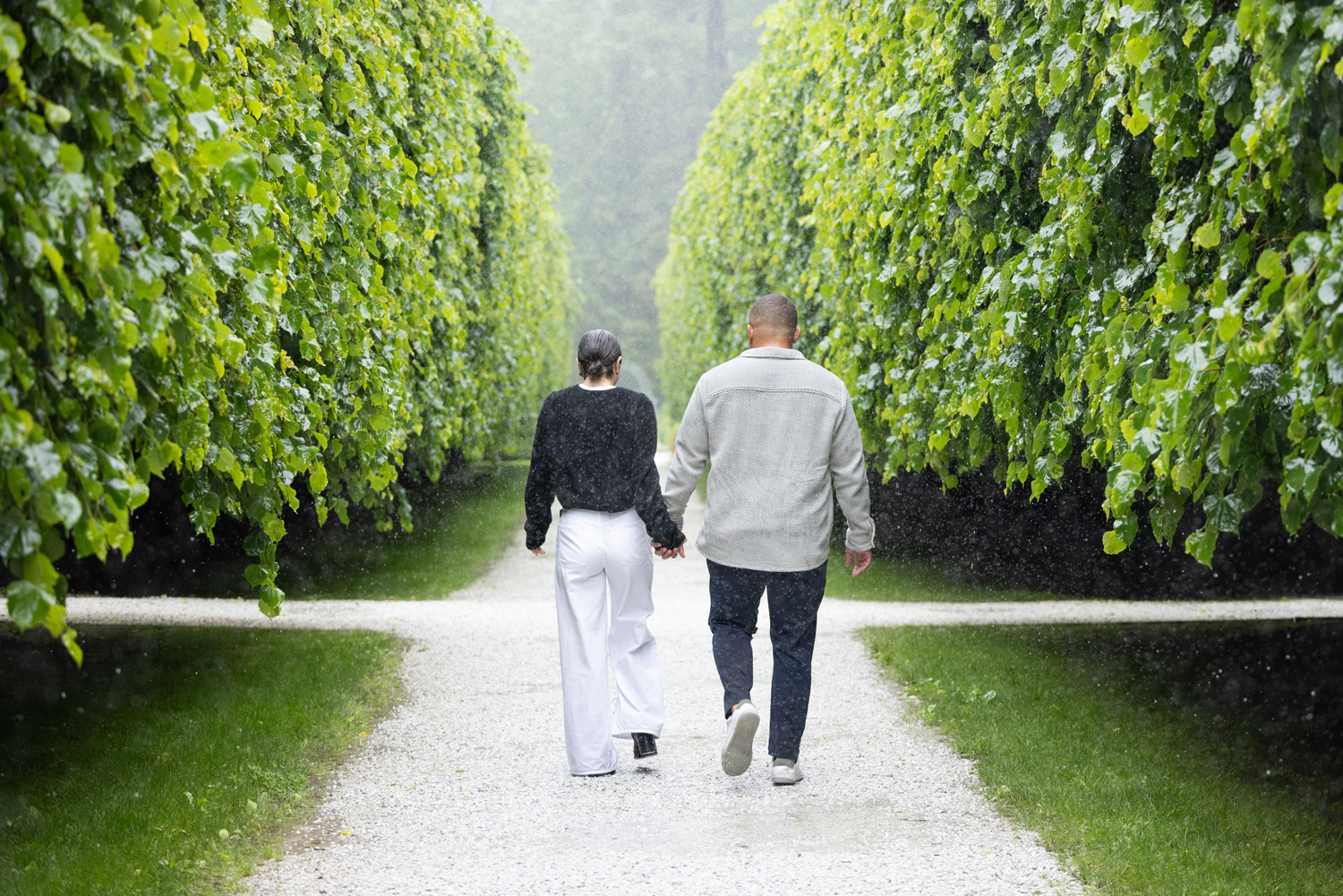 Rainy Proposal at the Mount
